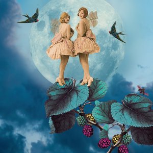 Blue Moon, 2014, (colagem digital)